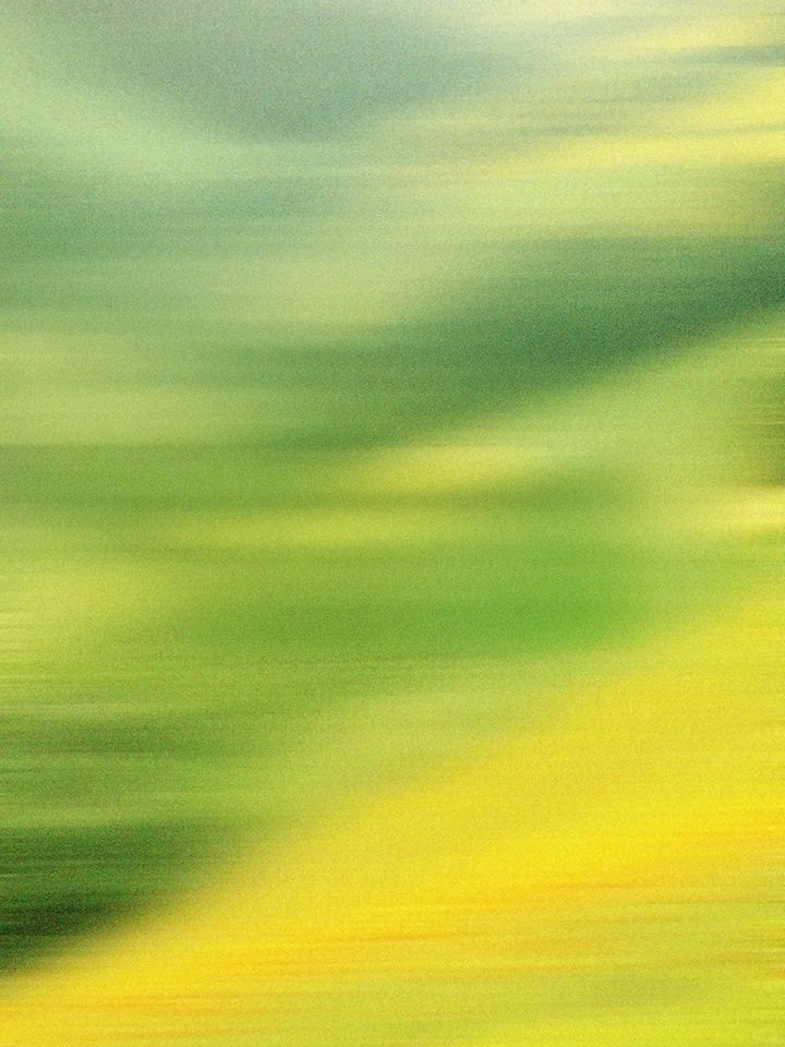 Produce realistic physics and HD quality videos